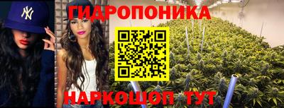 гашик Кулебаки