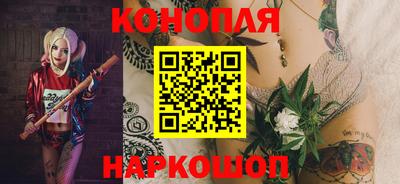гашик Кулебаки